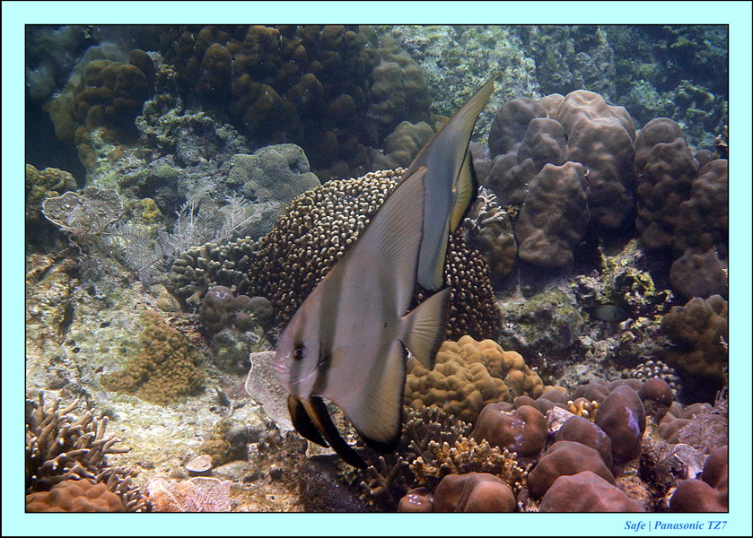 2012 - 07 - Palinton Sanctuary 11